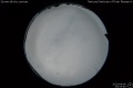 2020/4/6 23:05’46”
