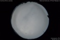 2020/4/6 23:06’30”