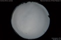2020/4/6 23:08’30”