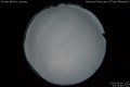2020/4/6 23:14’46”
