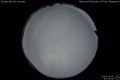2020/4/6 23:15’16”