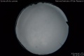 2020/4/6 23:15’46”