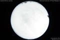 2020/4/8 21:00’12”