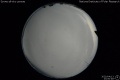 2020/4/13 23:00’48”