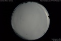 2020/4/13 23:10’32”
