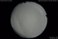 2020/4/13 23:30’34”