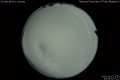 2020/4/13 23:45’04”