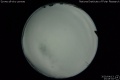 2020/4/13 23:45’34”
