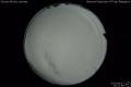 2020/4/13 23:47’48”