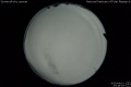 2020/4/13 23:48’04”