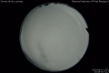 2020/4/13 23:48’34”