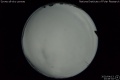 2020/4/13 23:49’34”