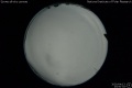2020/4/13 23:50’34”