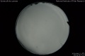 2020/4/13 23:54’50”