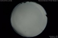 2020/4/13 23:55’34”
