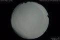 2020/4/13 23:56’50”