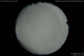 2020/4/13 23:57’50”