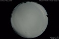 2020/4/13 23:58’50”