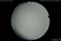 2020/4/14 01:00’52”