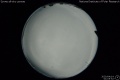 2020/4/14 01:05’52”