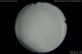 2020/4/14 01:15’36”