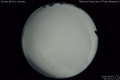 2020/4/14 01:20’22”
