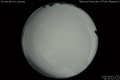 2020/4/14 01:20’52”
