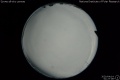 2020/4/14 01:27’08”