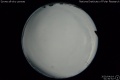 2020/4/14 01:30’52”