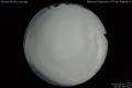 2020/4/14 01:40’38”