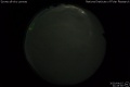 2020/4/15 21:45’30”