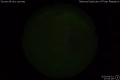 2020/4/21 17:00’06”