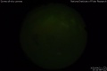 2020/4/21 17:10’38”