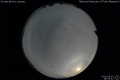 2020/5/3 18:55’42”