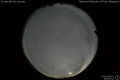 2020/5/3 20:00’30”