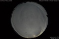 2020/5/3 20:06’30”