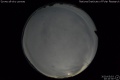 2020/5/3 20:10’30”