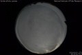 2020/5/3 20:10’44”