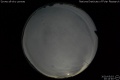 2020/5/3 20:14’46”