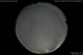 2020/5/3 20:15’46”