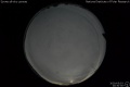 2020/5/3 20:30’30”