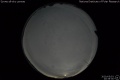 2020/5/3 20:35’30”