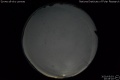 2020/5/3 20:45’16”