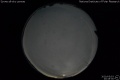 2020/5/3 20:45’30”