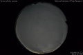 2020/5/3 20:50’32”