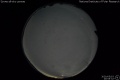 2020/5/3 20:55’32”