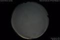 2020/5/3 21:00’32”