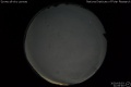 2020/5/3 21:06’46”