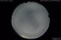 2020/5/4 22:45’22”