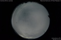 2020/5/4 22:50’22”